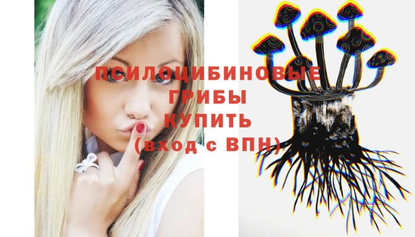 ECSTASY Верхний Тагил