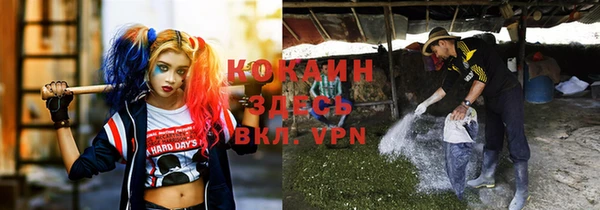 MESCALINE Бородино